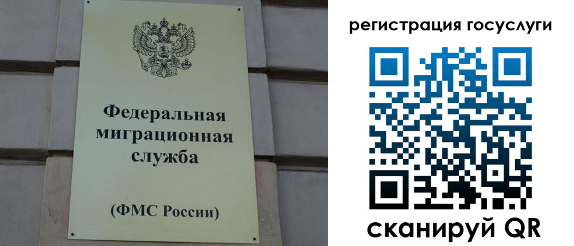 временная регистрация поиск в Камчатском крае